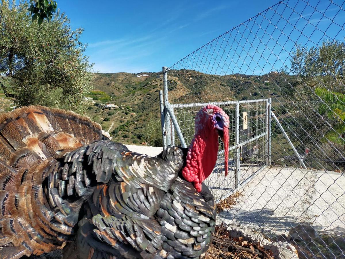 Paraje El Pozo Málaga Exterior foto