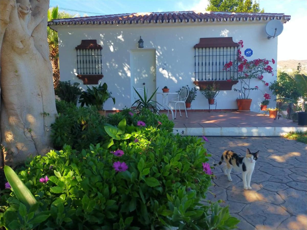 Paraje El Pozo Málaga Exterior foto
