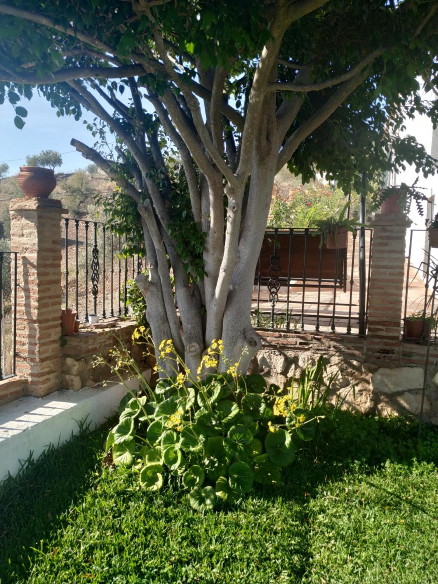 Paraje El Pozo Málaga Exterior foto