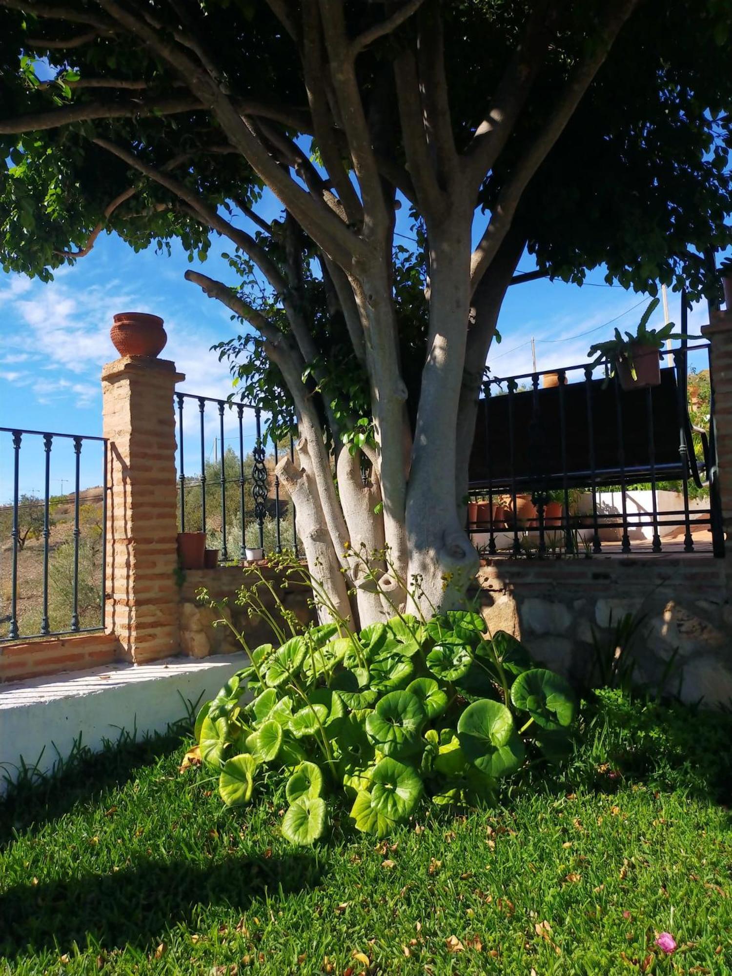 Paraje El Pozo Málaga Exterior foto